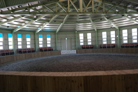 [주말&] 승마 체험 할 수 있는 대구 근교 승마장은