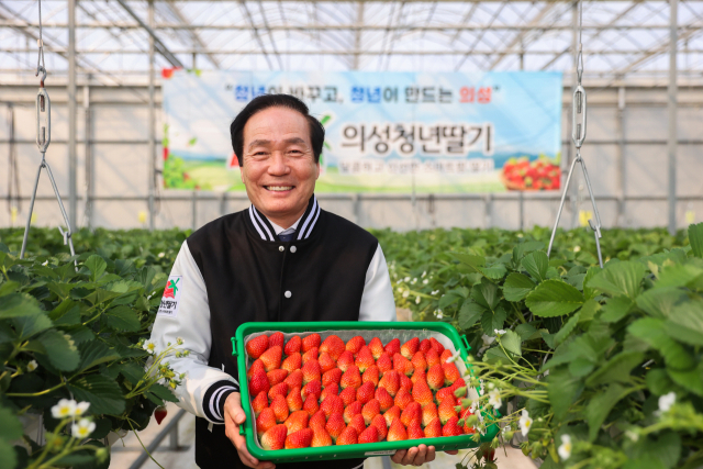 의성청년들이 생산하는 