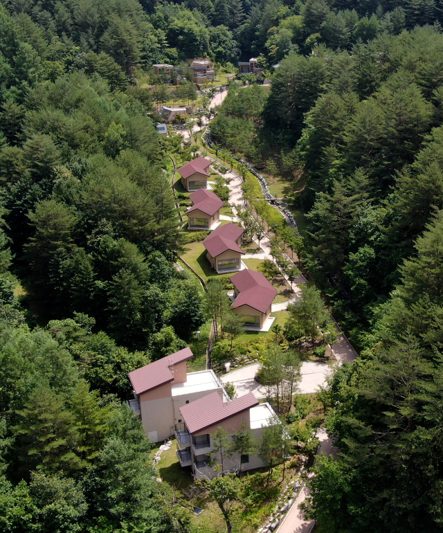 금강송에코리움 숙박동. 울진군 제공