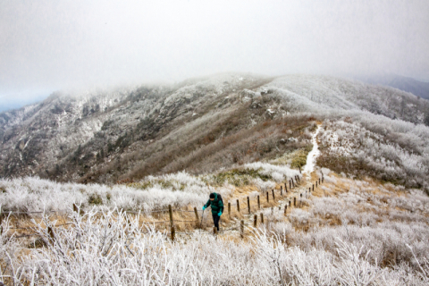 [김도훈 기자의 아웃도어 라이프] 겨울 덕유산 종주…'누군가에겐 시련, 버틴 이에겐 삶의 힘'
