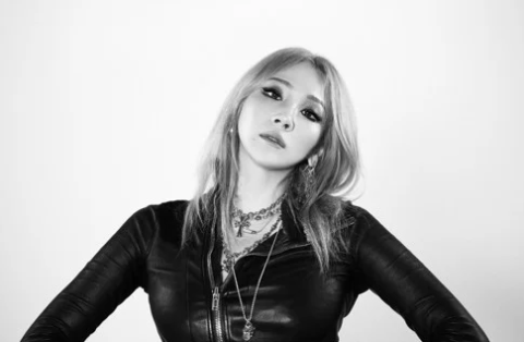 2NE1 씨엘, 미등록 기획사 운영 혐의로 검찰 송치