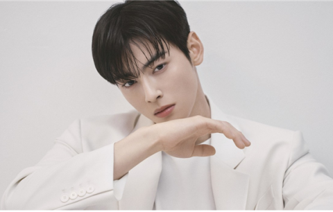 '200억원 탈세 의혹' 차은우 母 법인, 전 주소지가 '장어집'? 