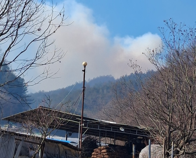 낮 12시 29분쯤 봉화군 재산면 현동리 1439번지 인근 야산에서 