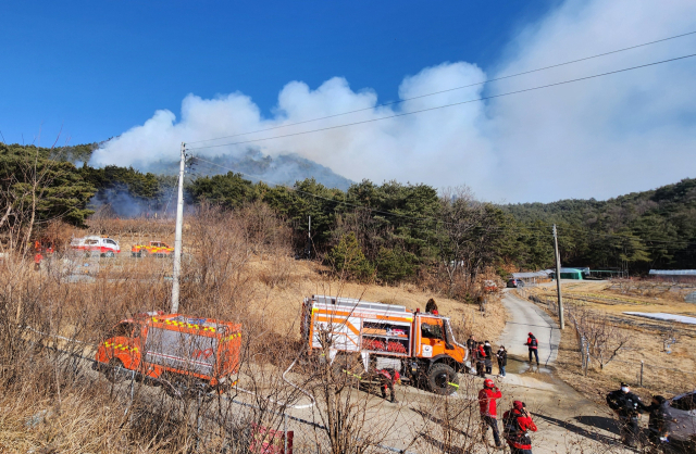 25일 낮 12시 39분쯤 경북 구미 천생산에서 산불이 발생했다. 독자 제공