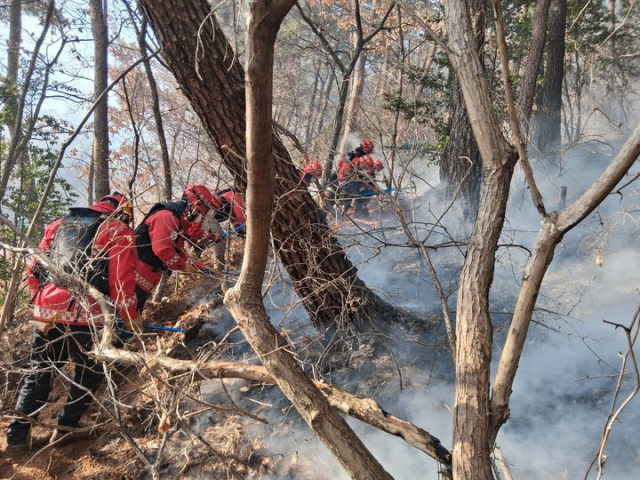 25일 오후 1시33분쯤 경북 경주시 산내면 외칠리 산에서 원인을 알 수 없는 산불이 발생해 산림당국이 진화에 나섰다./산림청 제공