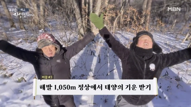 [TV] 차 한잔과 햇빛으로 내 몸 돌보는 자연인 