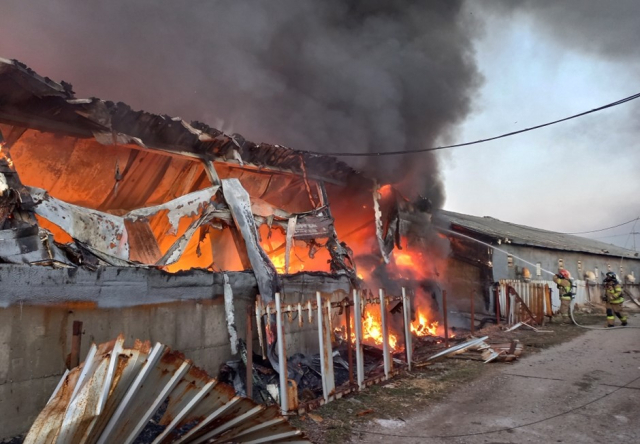 지난 25일 오후 5시 19분쯤 구미시 무을면의 한 돈사에서 불이 났다. 경북소방본부 제공