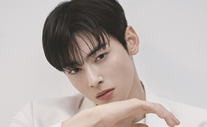 차은우 200억 탈세면 소득이?…100억은 본세 아닌 가산세