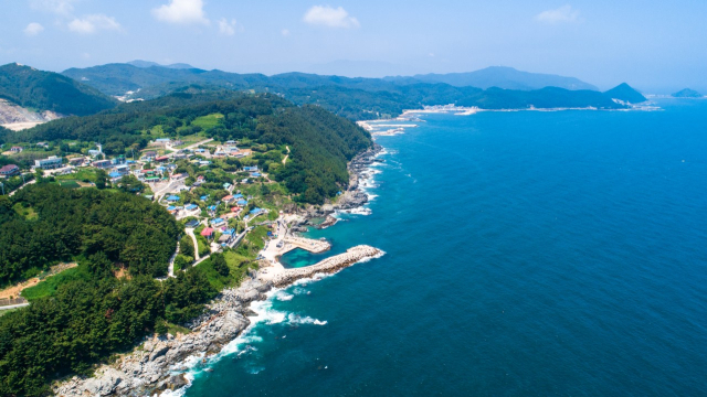 과거 천지원전 예정지였던 영덕군 석리 일대. 지금은 산불로 민가는 모두 사라졌다. 영덕군 제공