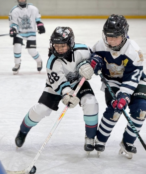 구미에서 3월 여자 아이스하키대회 'WISH2026' 개최