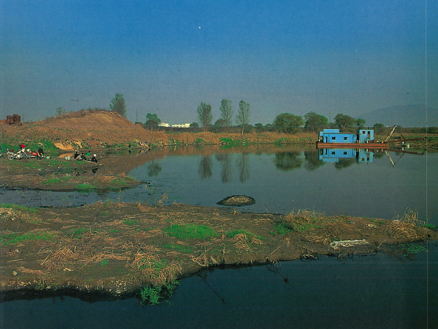 1990년대 금호강 전경. 영남자연생태보존회 제공