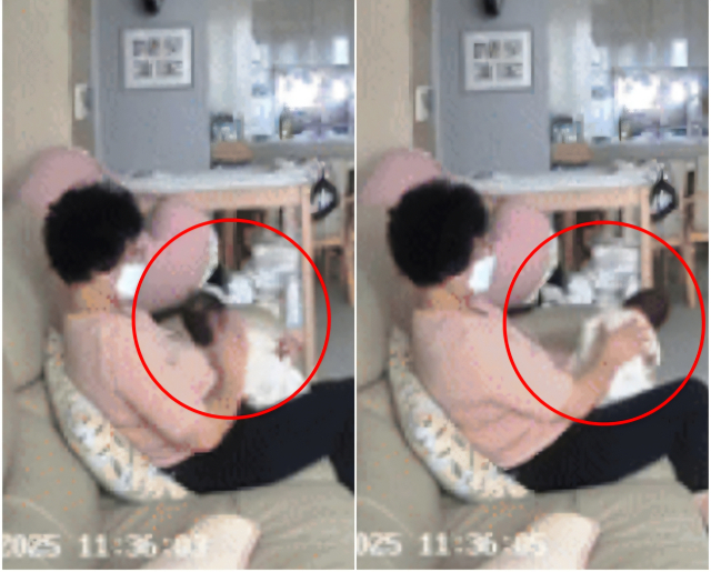 산후도우미가 생후 한 달 아기의 뺨을 때리고 쎄게 흔드는 등 거칠게 대하고 있다. 온라인커뮤니티 캡처.