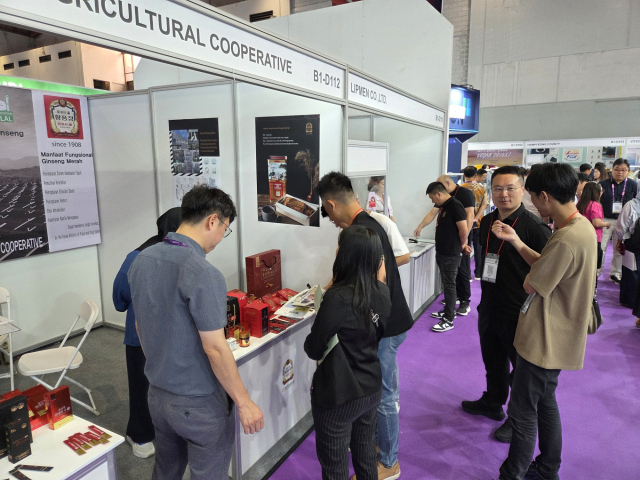 지난해 인도네시아 