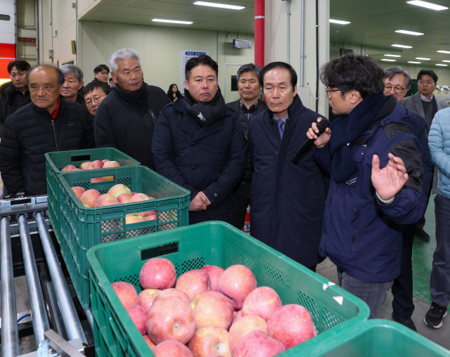 의성군, 인공지능 활용 사과 선별기 시연회 열어 