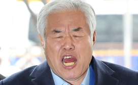 전광훈 '내란 선동' 아니다…경찰, 난동 배후 혐의 불송치