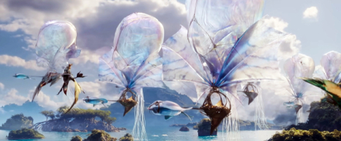 [과학으로 보는 세상] 아바타3 속 메두소이드는 허구일까?