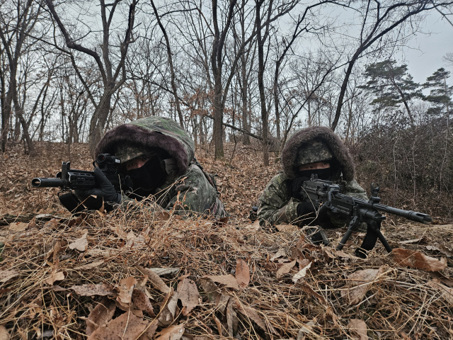 육군 자료사진. 제50보병사단 제공