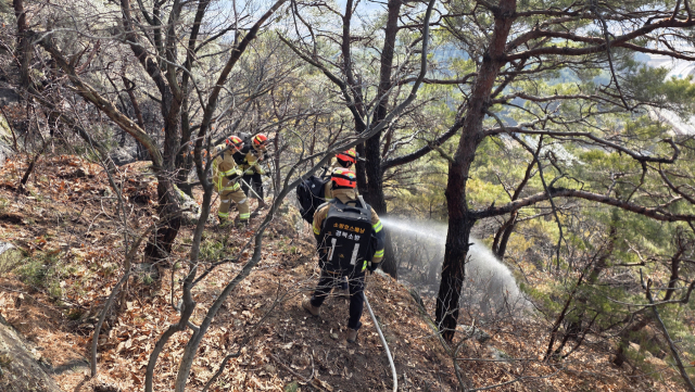 29일 오전 10시 29분쯤 경북 구미 천생산에서 산불이 발생해 40여 분 만에 진화됐다. 경북소방본부 제공