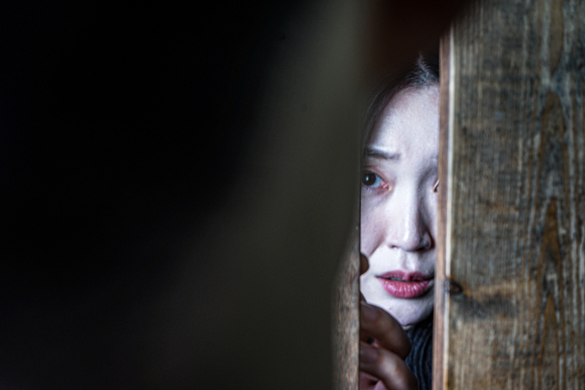 벽이 서 있있다, 프로젝트 아일랜드 남동진