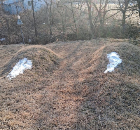 남의 무덤 11곳에 소금 포대 '탈탈' 왜?…경찰, 용의자 추적