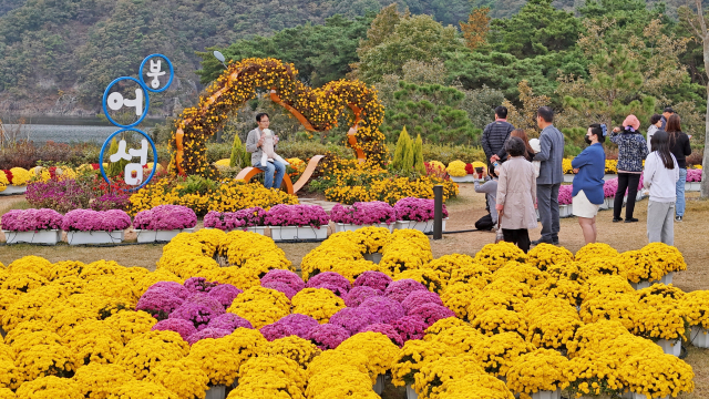 계절별 화려한 꽃으로 가득한 붕어섬생태공원. 임실군 제공