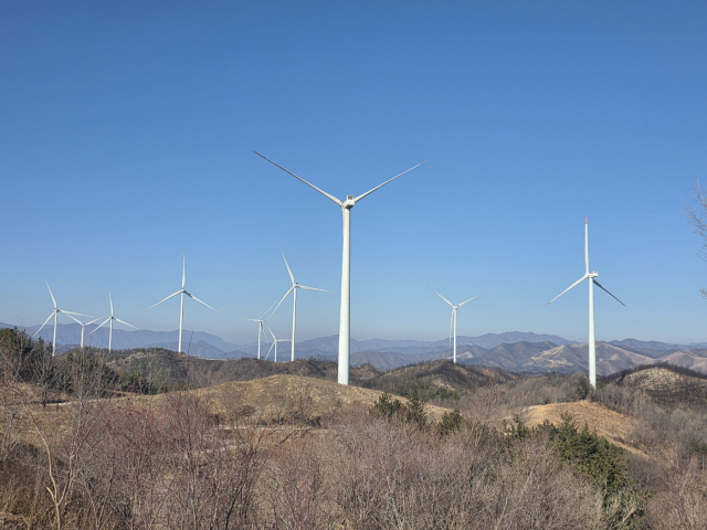 영덕 풍력발전단지 내 풍력발전기가 모두 멈춰섰다. 박승혁 기자