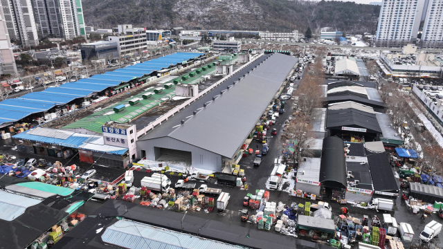 대구 농수산물도매시장 농산A동 재축…설 앞두고 가동