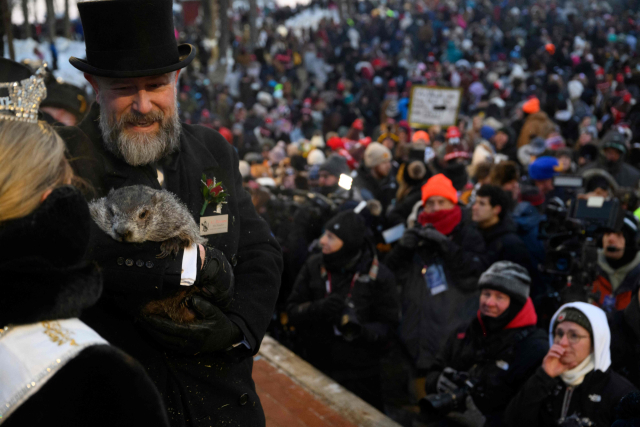 2일 미국 펜실베니아의 펑추토니에서 열린 그라운드호그 데이 행사 모습. 겨울잠을 자다 땅굴에서 나온 마멋(다람쥐과 동물)이 계절을 예측하는 행사다. 펑추토니 그라운드호그 클럽의 대표 핸들러 씨의 품에 안긴 