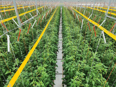 [청년! 농업·농촌에서 희망을 찾다] (3)스마트팜에서 스마트한 농업을 일구다