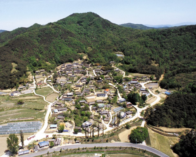 성주 한개마을 전경. 성주군 제공