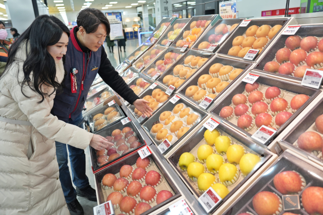 대형마트 업계, 설 명절 제수품·선물세트 판매 경쟁 '활발'