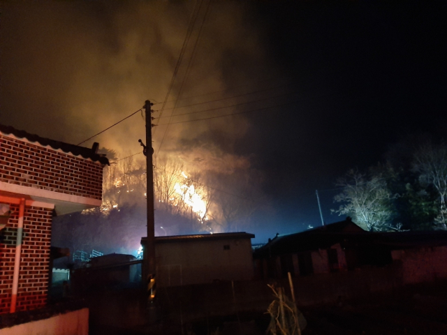 8일 오전 포항시 북구 죽장면 한 야산에서 발생한 산불을 소방당국이 진화하고 있다. 경북소방본부 제공.
