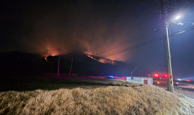 경주시 문무대왕면 입천리 야산 산불 현장 모습. 경북소방본부 제공