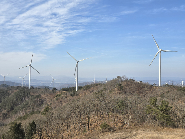 영양군 석보면 일대에 조성된 영양풍력발전단지의 모습. 김영진 기자