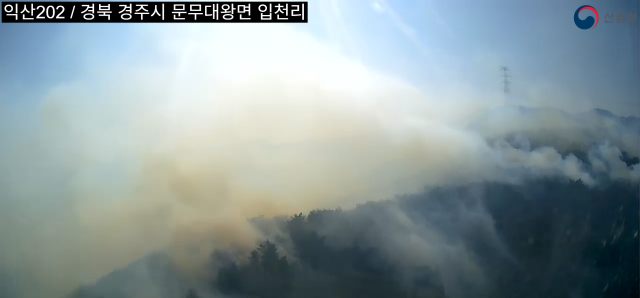 8일 오후 3시쯤 경주시 문무대왕면에서 불에 타고 있는 야산을 산림·소방 대원들이 진화하고 있다. 산림청 제공.