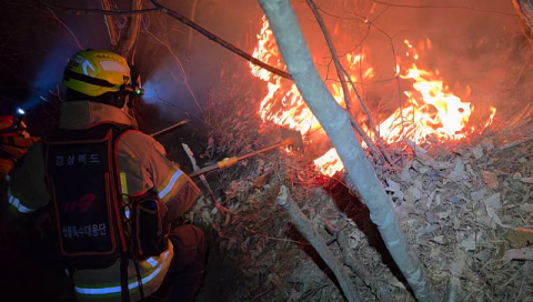 경북 경주 문무대왕면 일대 야산서 산불 재발화