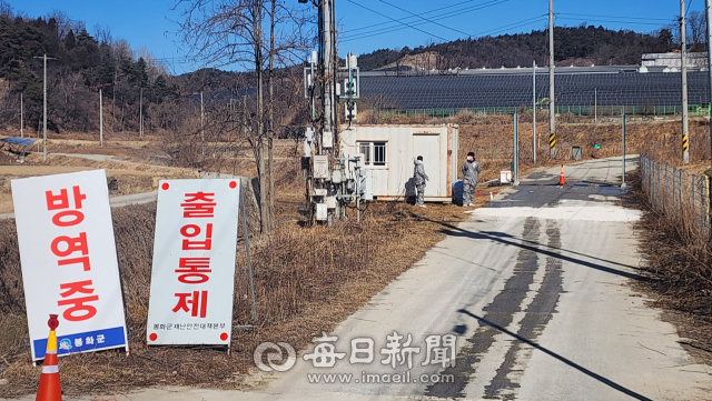 9일 오전 찾은 봉화군 봉화읍 도촌리 양계단지 입구는 적막 그 자체였다. 평소 같으면 계란 운반 차량과 닭 운반 차량이 쉴 새 없이 오가며 분주했을 시간이다. 그러나 이날 단지 앞에는 차량의 엔진 소리 대신 고요만이 감돌았다. 손병현 기자