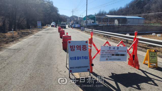 9일 오전 찾은 봉화군 봉화읍 도촌리 양계단지 입구는 적막 그 자체였다. 평소 같으면 계란 운반 차량과 닭 운반 차량이 쉴 새 없이 오가며 분주했을 시간이다. 그러나 이날 단지 앞에는 차량의 엔진 소리 대신 고요만이 감돌았다. 손병현 기자