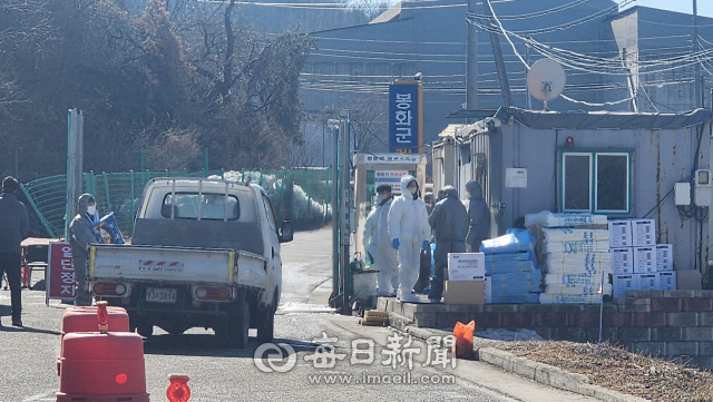 9일 오전 찾은 봉화군 봉화읍 도촌리 양계단지 입구는 적막 그 자체였다. 평소 같으면 계란 운반 차량과 닭 운반 차량이 쉴 새 없이 오가며 분주했을 시간이다. 그러나 이날 단지 앞에는 차량의 엔진 소리 대신 고요만이 감돌았다. 손병현 기자