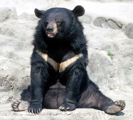 경북 김천시 캐릭터 