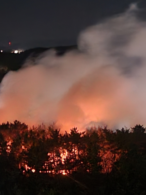 포항 장성동 야산서 산불…다행히 1시간 여 만에 주불 진화돼