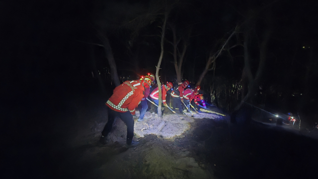 10일 오전 포항시 북구 장성동 야산에서 발생한 산불을 산림당국 대원들이 진화하고 있다. 산림청 제공.
