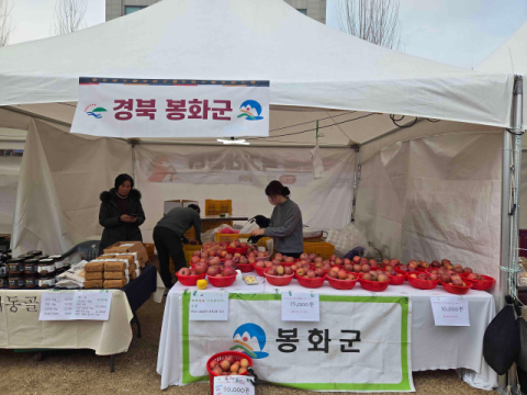 봉화 사과, 서울 강동구 설 장터서 존재감 손보여…