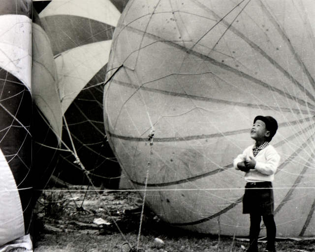 금상 노익배 작 