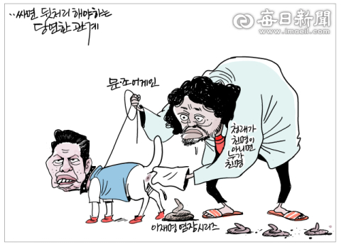 [매일희평] 집사 반려인과 권력산책을 하며