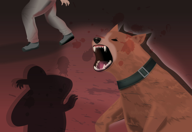 목줄 없는 맹견에 물린 이웃 생명 위독…견주 '금고 4년'