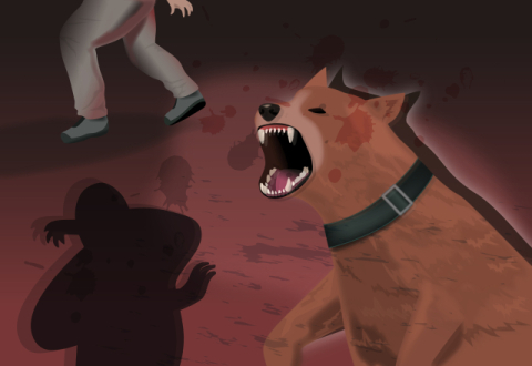 맹견에 중요부위 물려 급성 패혈증, 생명 위독…풀어둔 견주 형량이