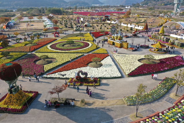 양산 국화 축제장 전경