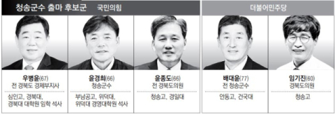 [6·3 지선 판세] 청송군수…현역 군수 두터운 지지층 對 공천 경쟁자 알짜 공약