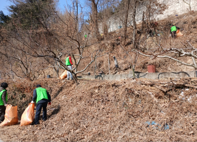 자연보호중앙연맹 군위군협의회, 설맞이 환경정화활동